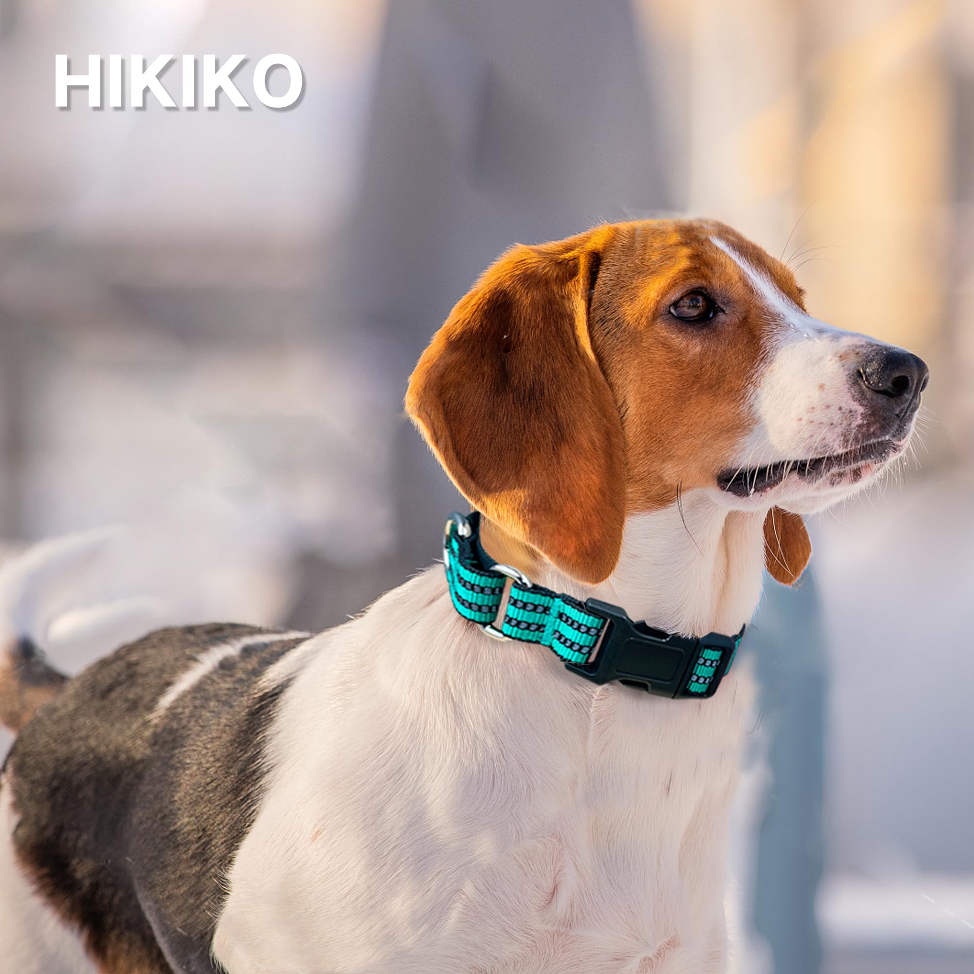 Hikiko collar reflectivo para mejor visibilidad nocturna en paseos.