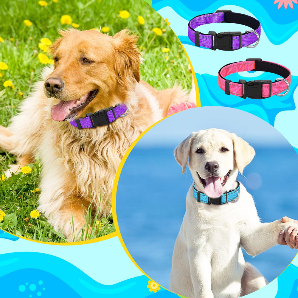 Hillban collar reflectante rosa, ideal para destacar mascotas durante salidas.