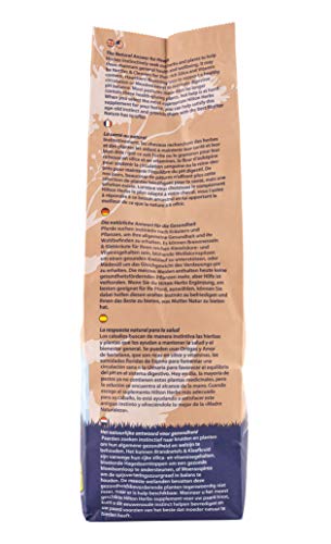 Pastos limitados en invierno con Herb Power.