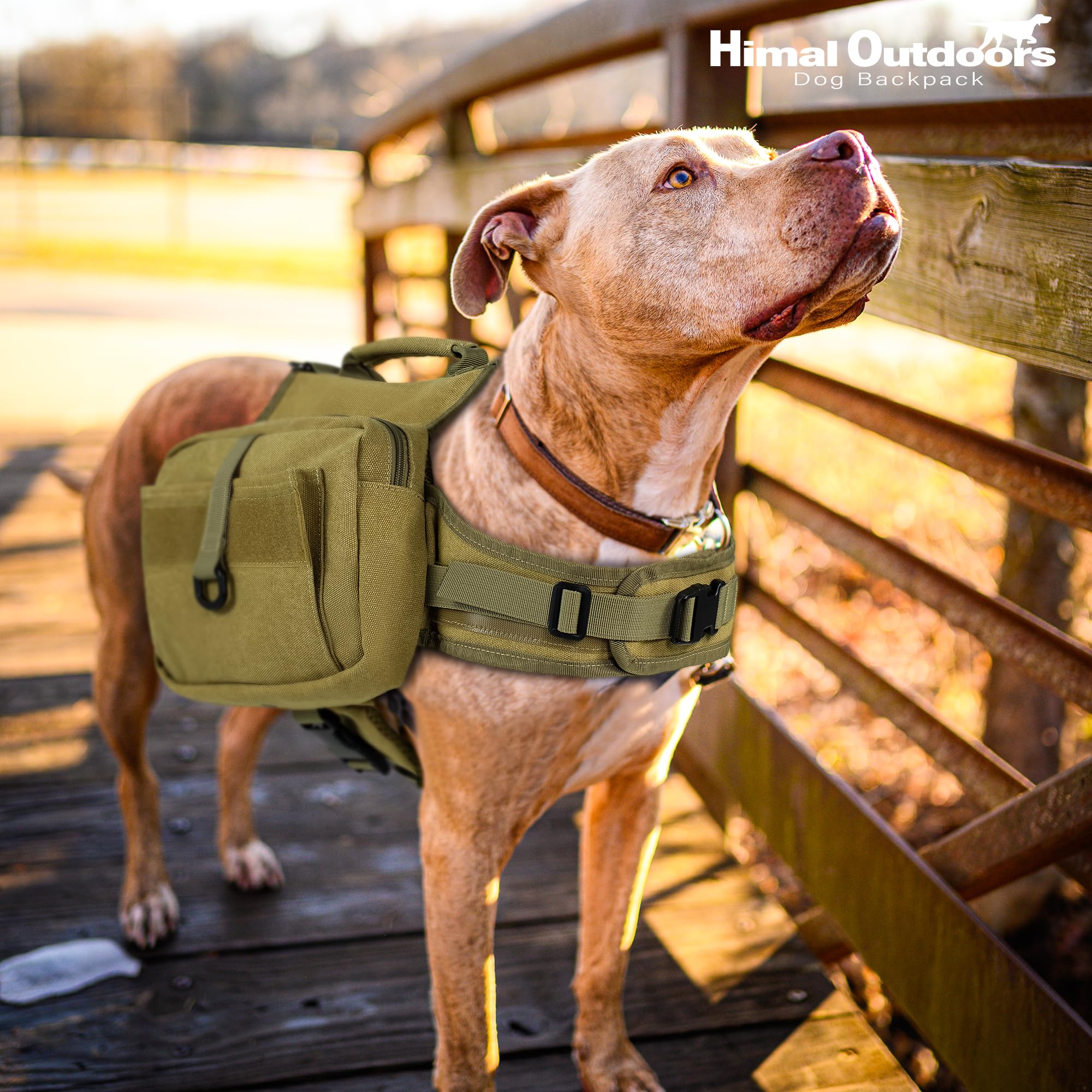 Himal Outdoors diseño táctico ideal para aventuras al aire libre con tu perro