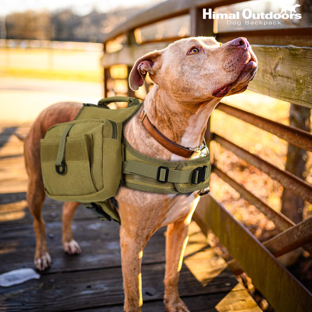 Himal Outdoors diseño táctico ideal para aventuras al aire libre con tu perro