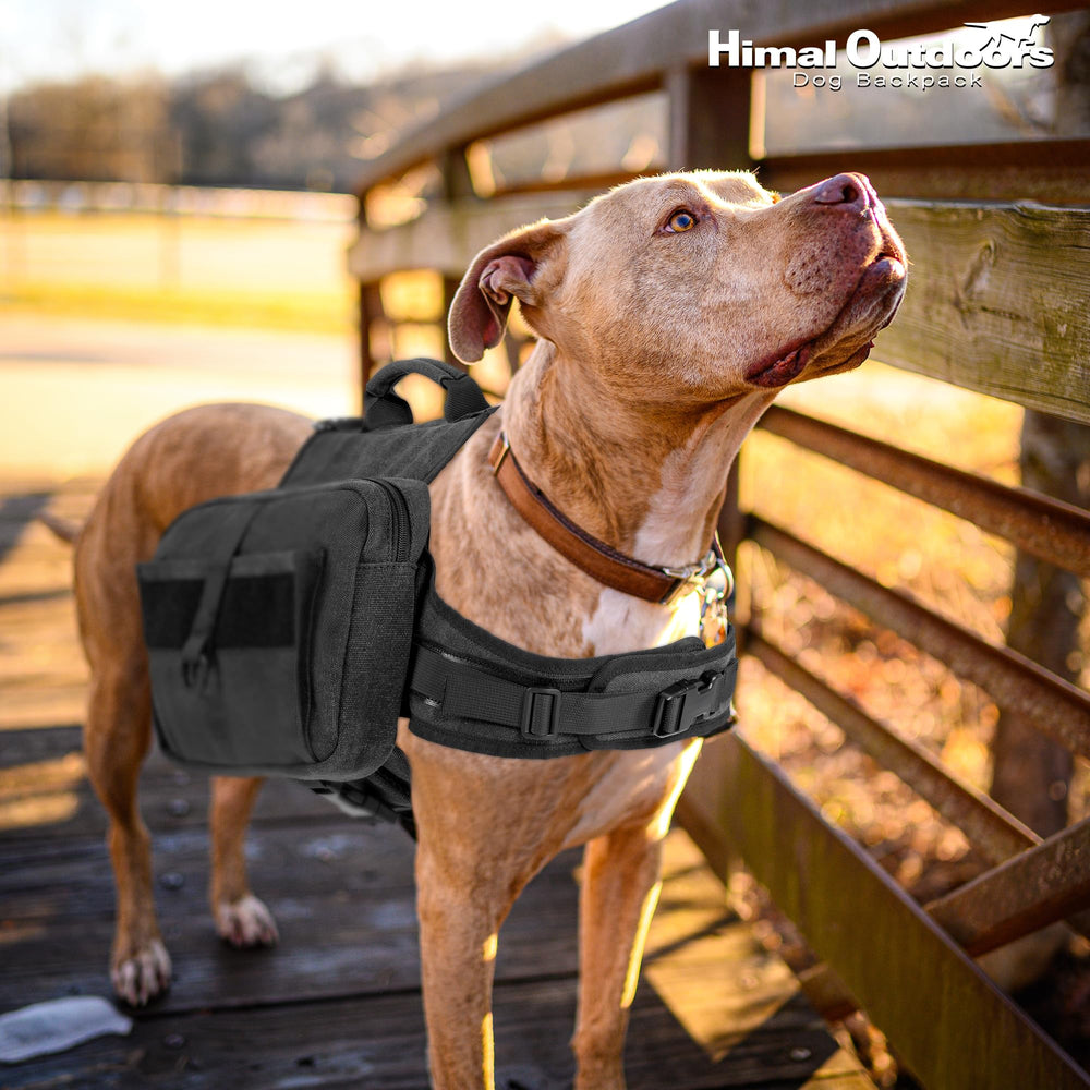 Diseño ergonómico de Himal Outdoors para aventuras al aire libre con tu mascota.