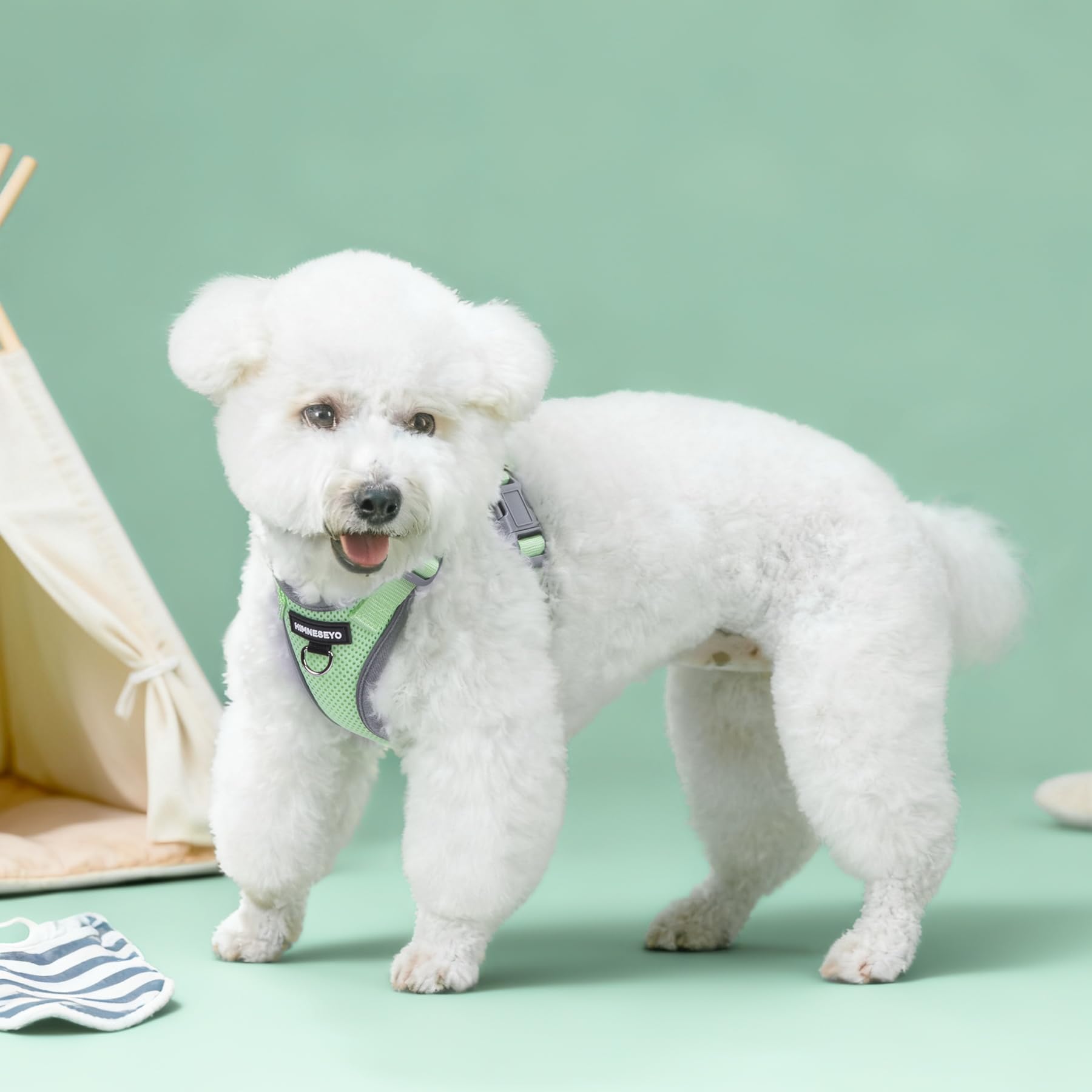 HIMNESEYO correa verde para paseos urbanos con perro pequeño