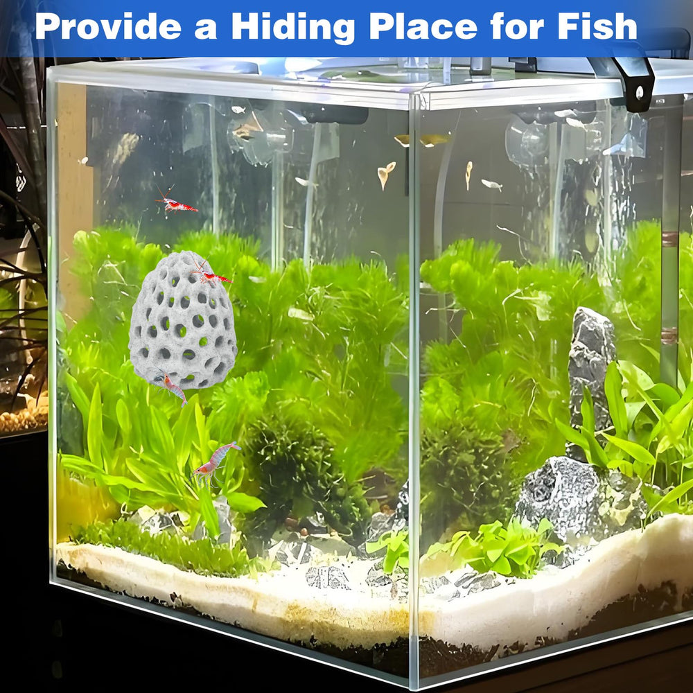 HINGTAI sujeción ventosa para acuario: instalación rápida y segura.
