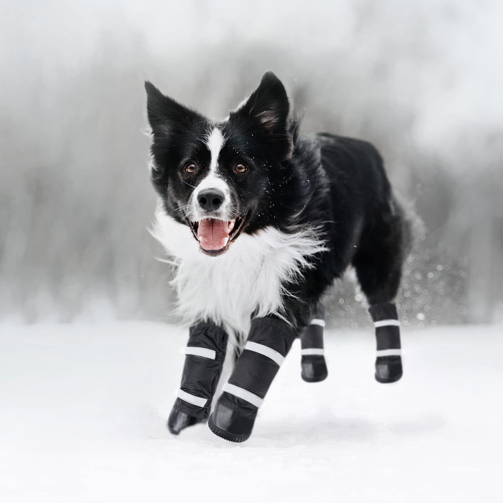 Kit de 4 botas Hipaw para perros medianos y grandes