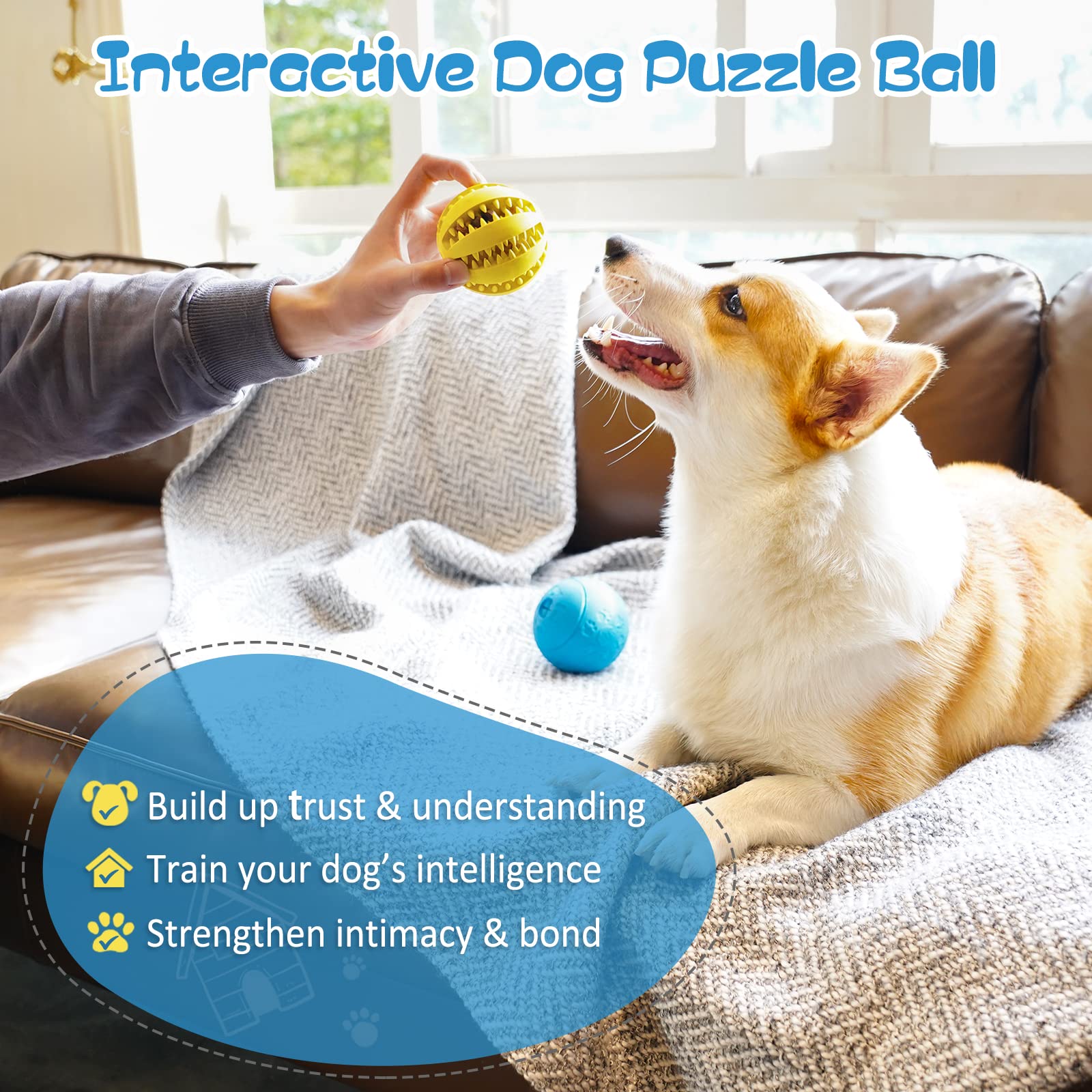 HIPPIH Juguete interactivo para perros: fomenta inteligencia y juego