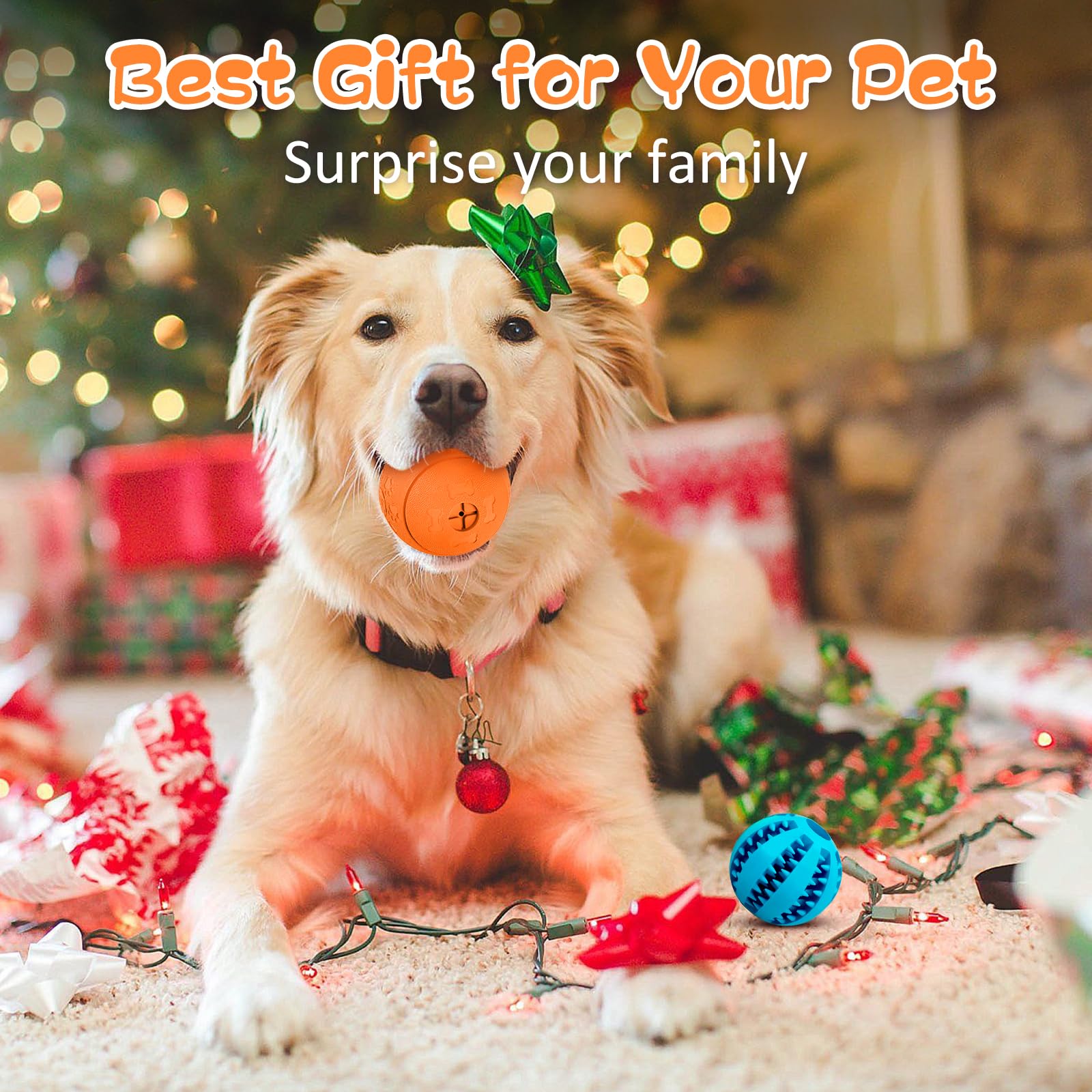 HIPPIH regalo perfecto para mascotas activas.