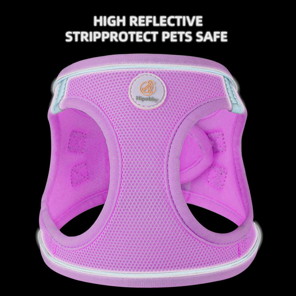 Hipubby arnés gato ajuste firme, fácil de colocar para acicalamiento y paseo.