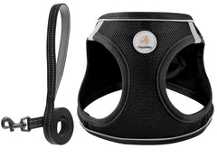 Arnés Hipubby de malla transpirable para paseos diarios y confort.
