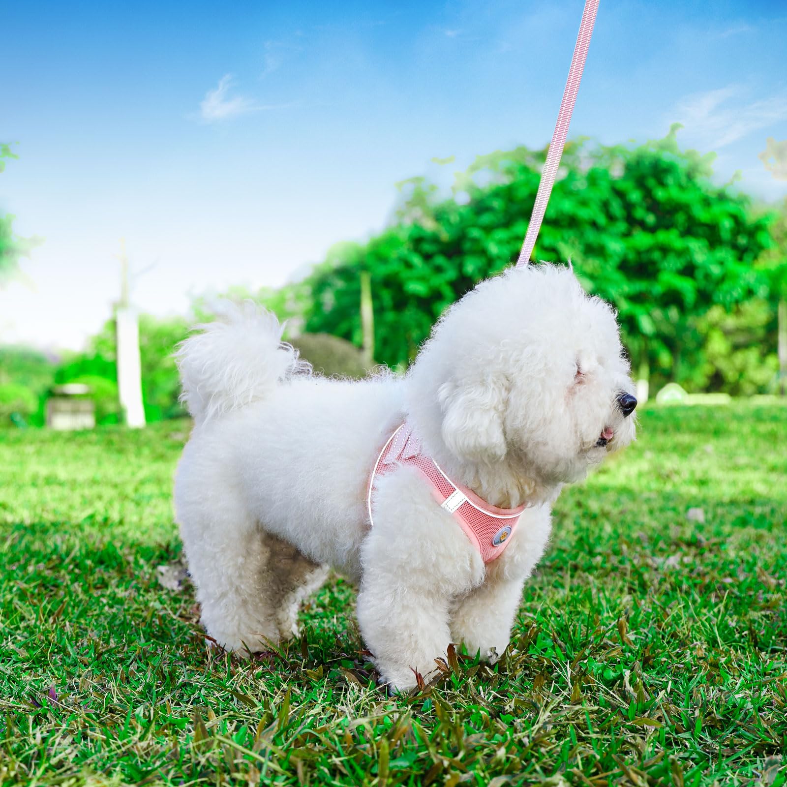 Hipubby arnés de perro, tejido ligero y transpirable