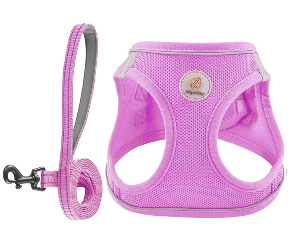 Hipubby arnés para perro ventilado, paso a paso para paseos cómodos y frescos.