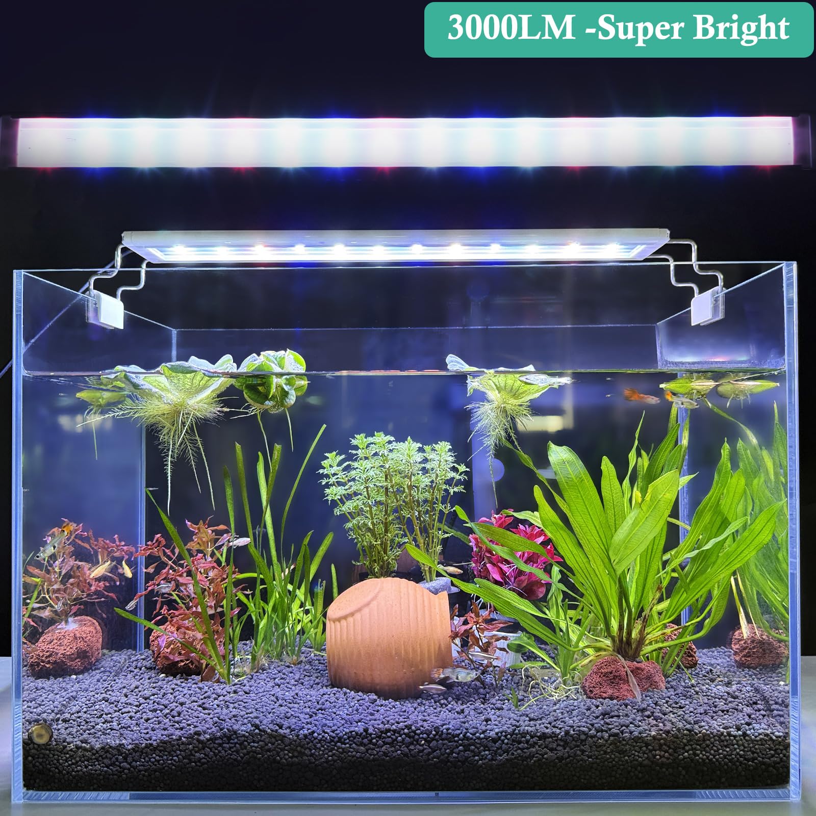 Iluminación óptima HITOP para agua dulce y plantas