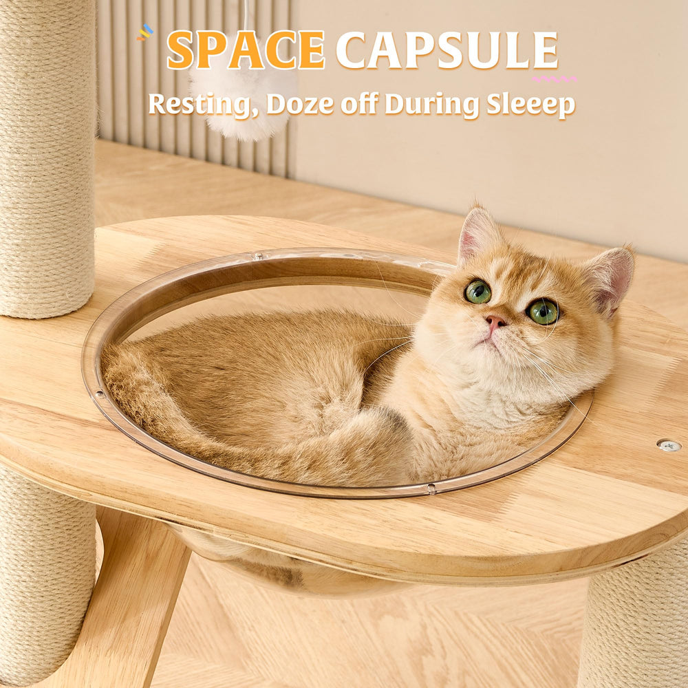 HITTITE cápsula-espacio para gato, refugio cómodo para siestas.