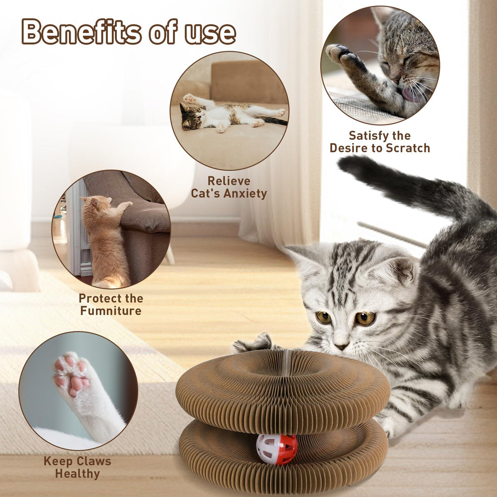 HivaolJoy Kitty Cat Toys Organ Kurlz: ejemplos de usos y variantes visuales