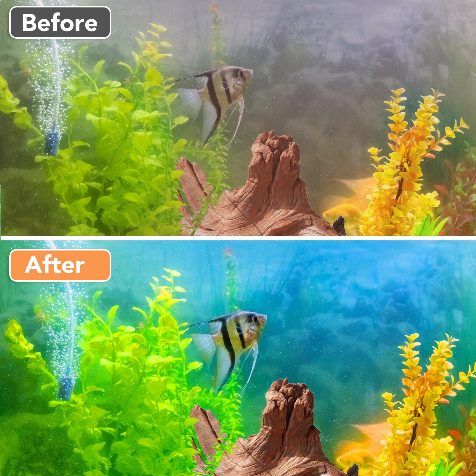 Hiwzitar estética realista de madera flotante coralina para acuario.