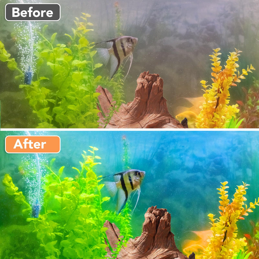 Hiwzitar estética realista de madera flotante coralina para acuario.