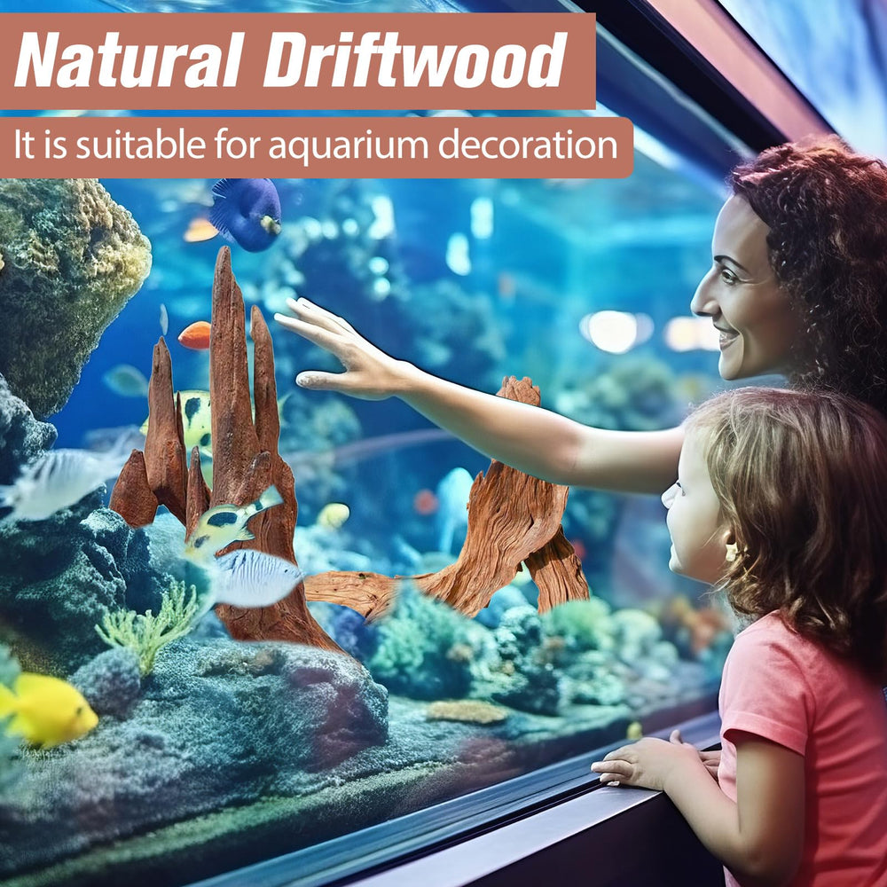 Hiwzitar hábitat natural con madera flotante coralina en acuario.
