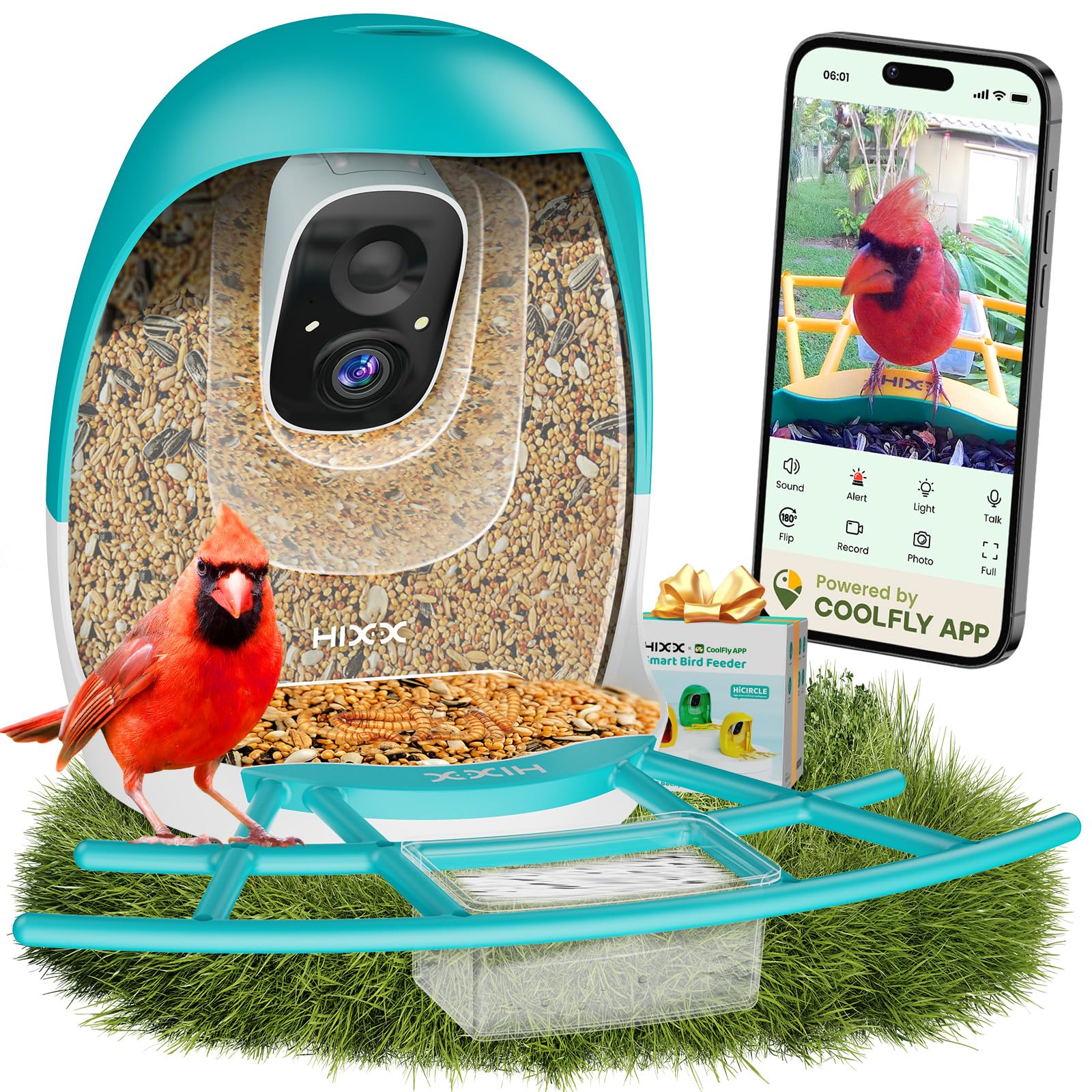 HIXX alimentador de aves con cámara: avistamiento en vivo desde tu teléfono