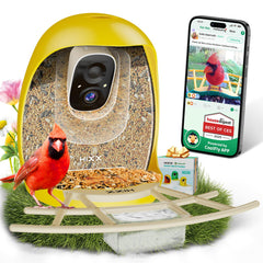 HIXX alimentador de aves con cámara: vista clara del diseño y uso sencillo.