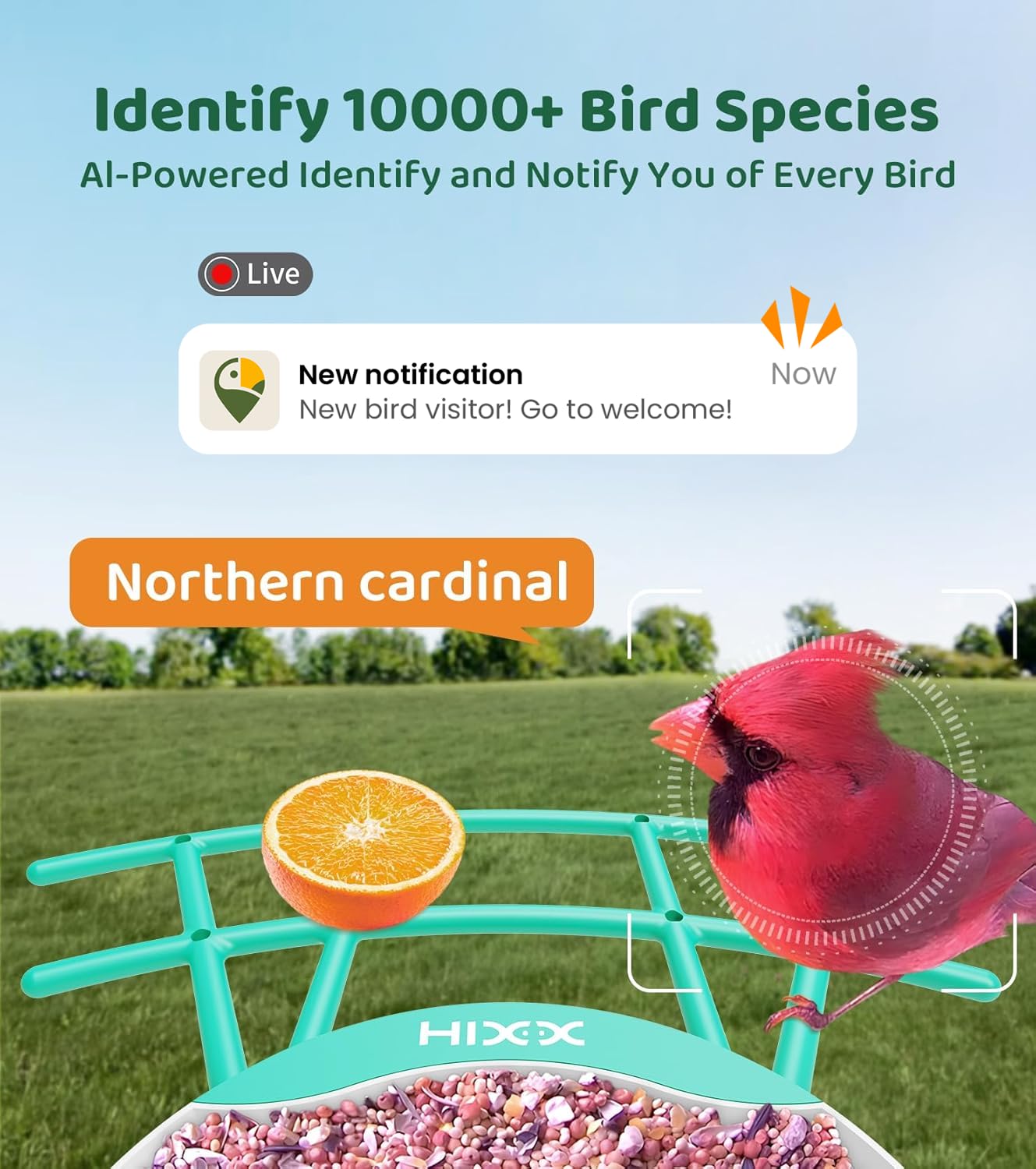 HIXX aplicación interactiva para observación y comunidad de amantes de aves