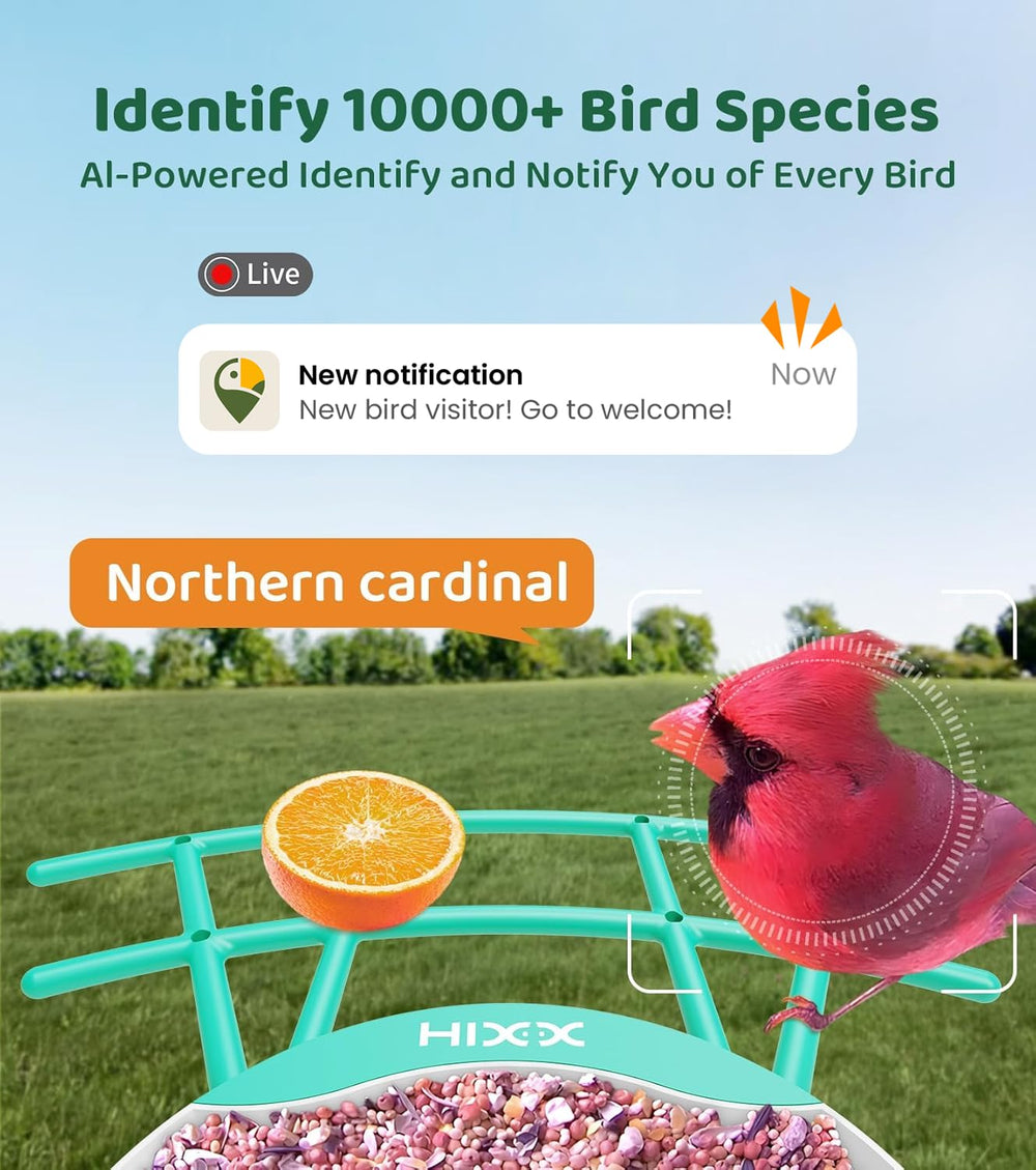 HIXX aplicación interactiva para observación y comunidad de amantes de aves