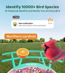 HIXX aplicación interactiva para observación y comunidad de amantes de aves