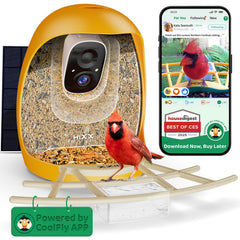 HIXX bebedero de aves con cámara 2K para observación en vivo.