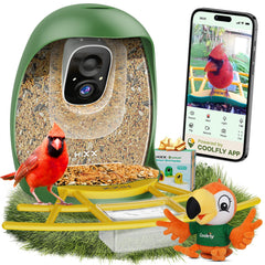 HIXX bebedero de pájaros con cámara en vivo para observar aves desde cualquier lugar.