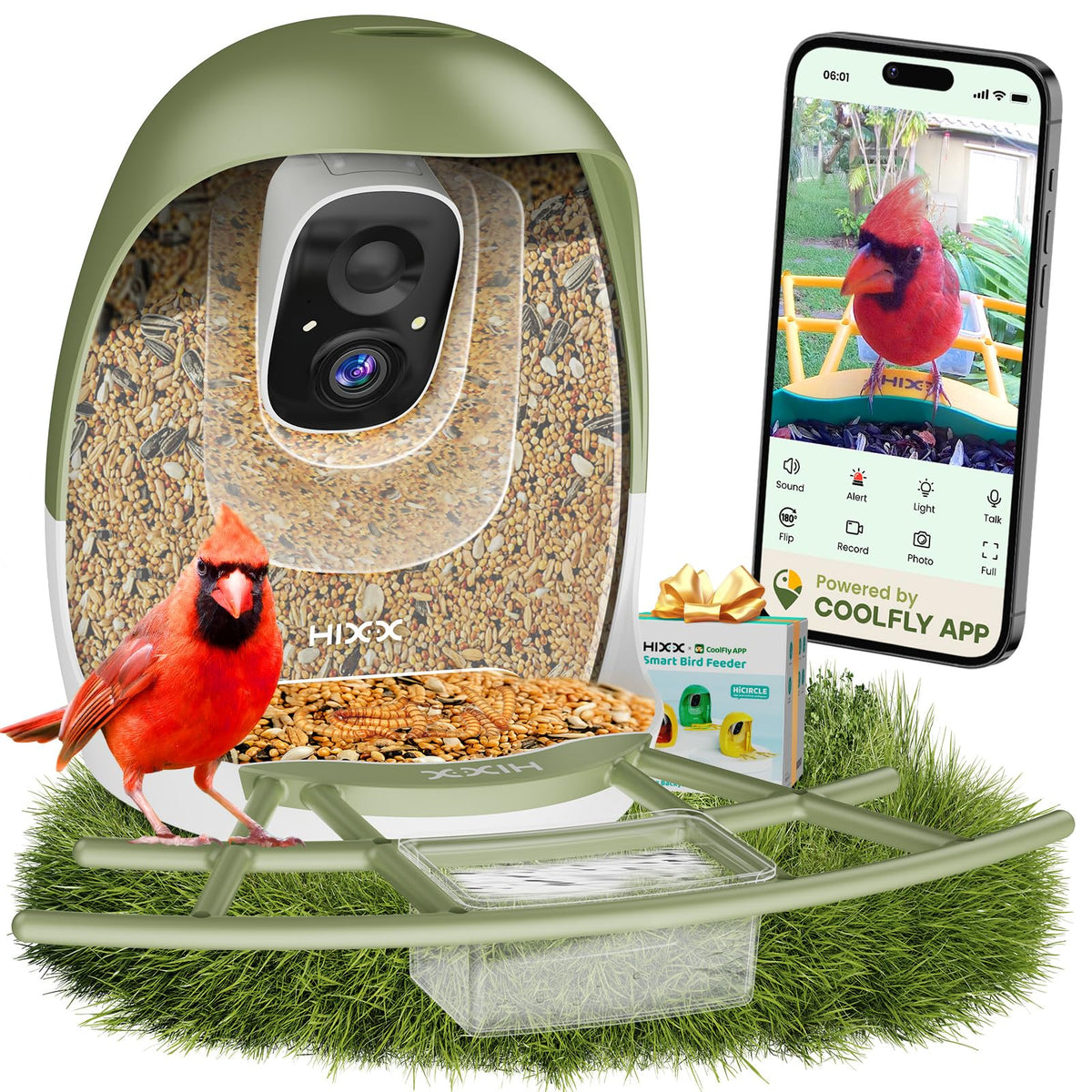 HIXX comedero aves camara en vivo para observar visitas desde tu telefono.