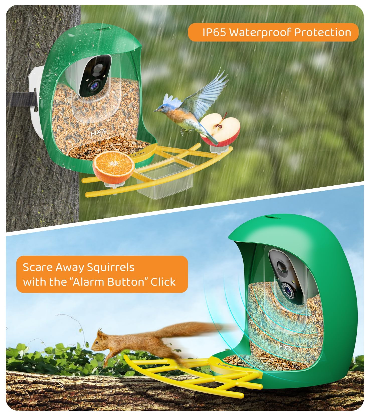HIXX caja-regalo-edicion: empaque elegante ideal para regalar a amantes de la naturaleza.