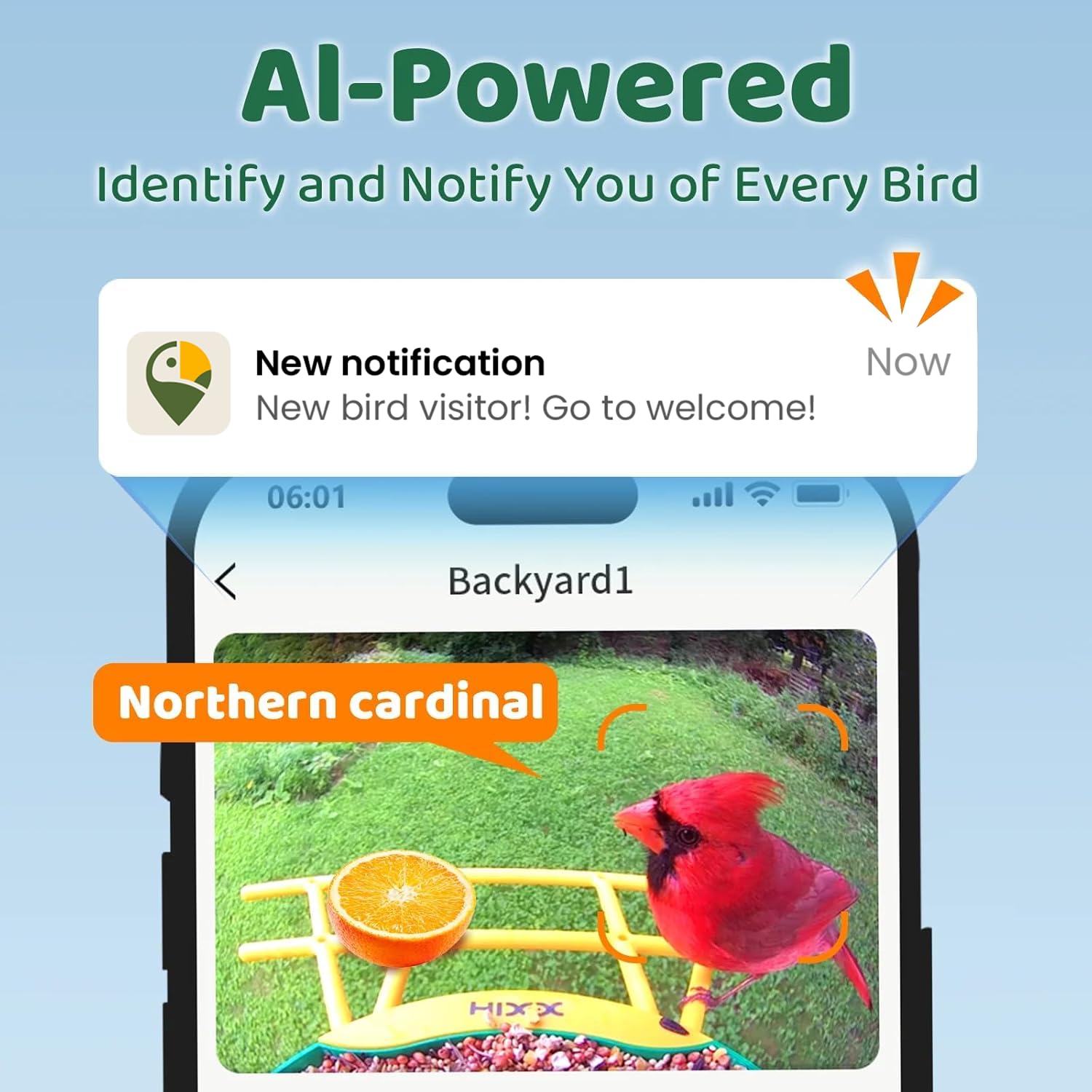 HIXX notificaciones en la app para ver cada avistamiento de aves.