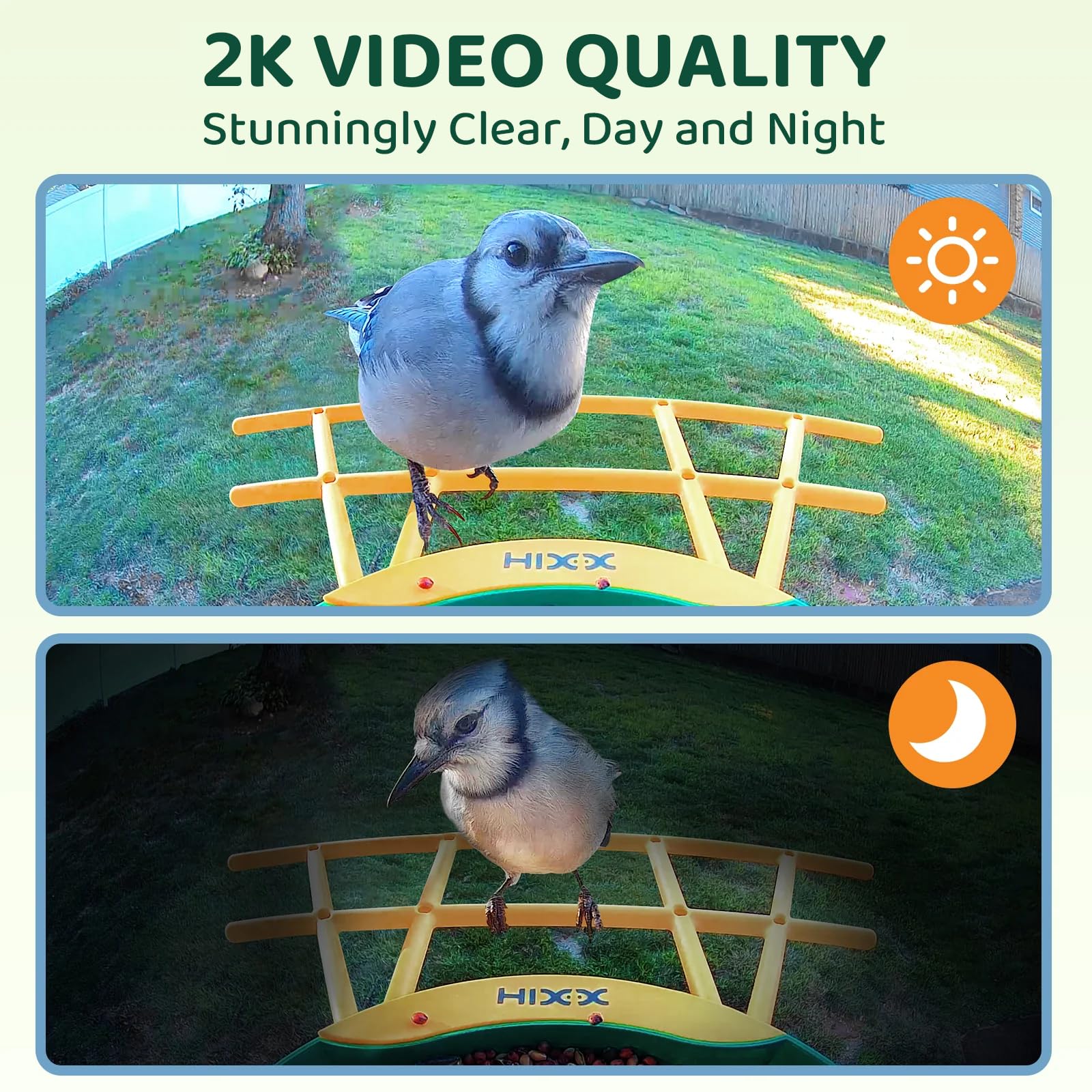 HIXX reconocimiento IA identifica especies para aprender sobre aves.