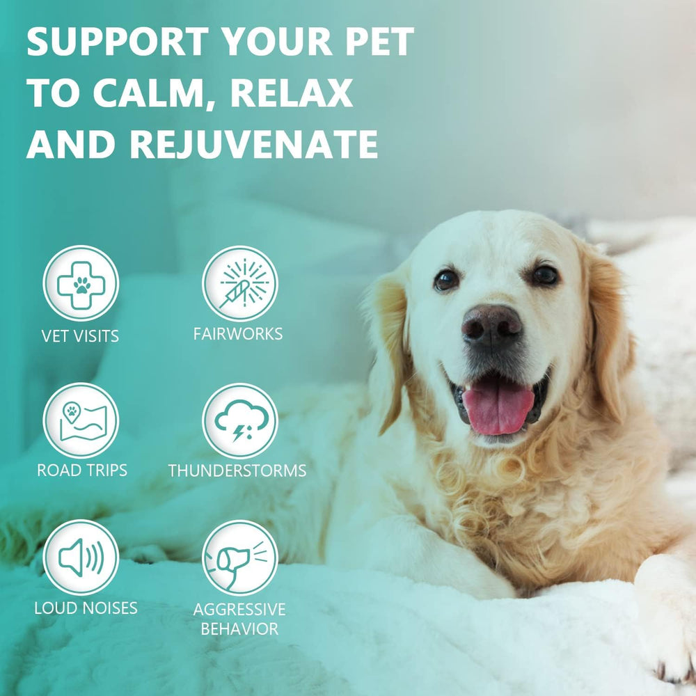 HMone Aceite de Cáñamo para cuidado de piel de mascota, aplicado tópicamente.