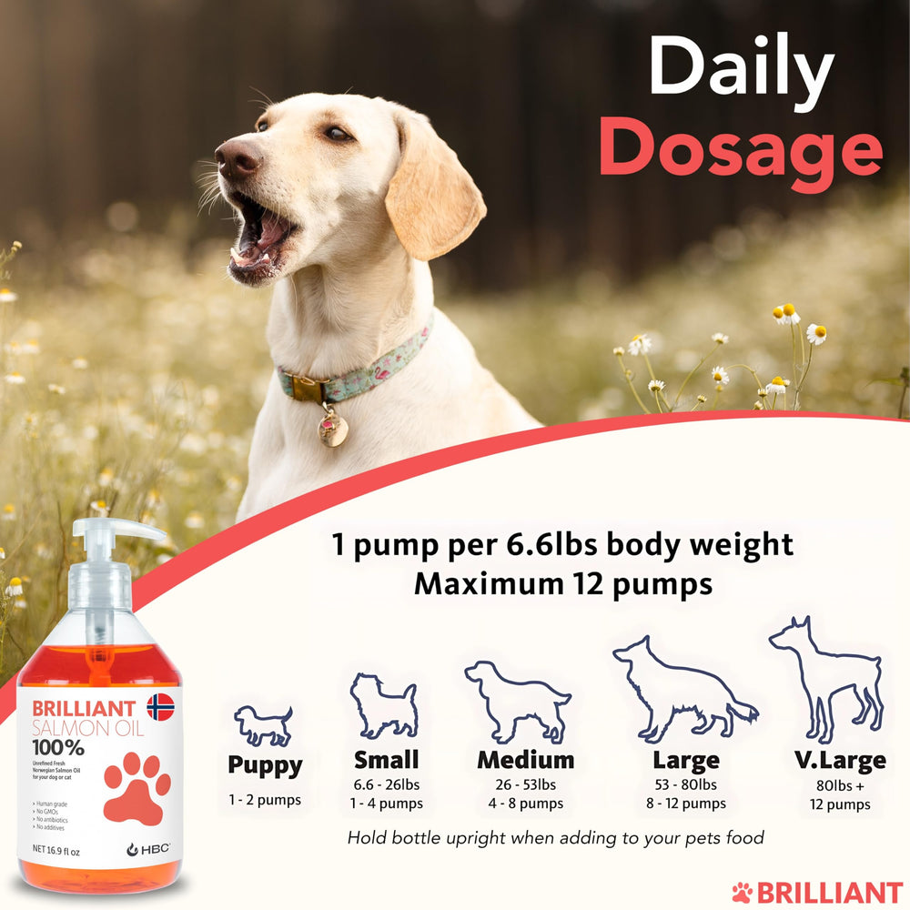 Hofseth Biocare aceite de salmón para perros, ayuda a la muda.