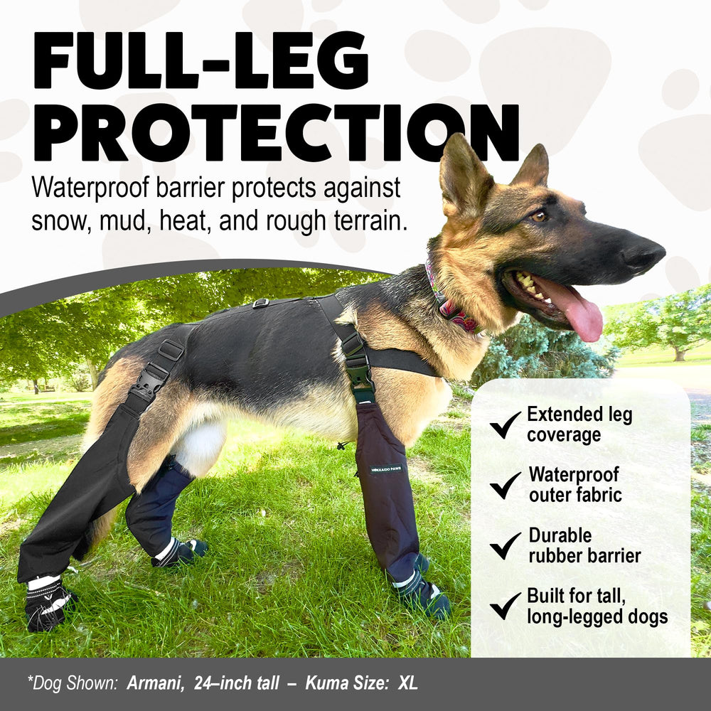 Bota para perro Hokkaido Paws Kuma con cierre ajustable para un ajuste seguro.