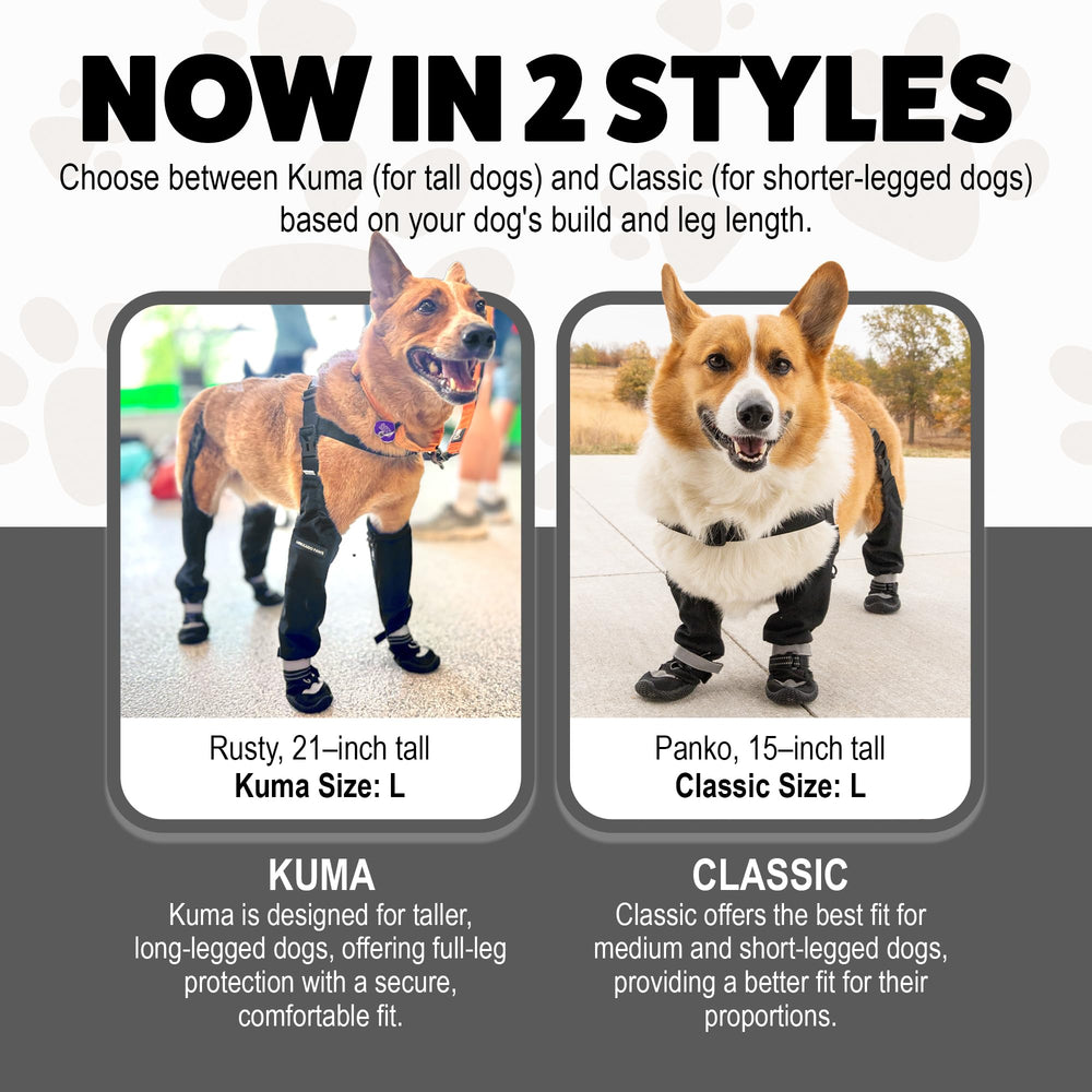 Guía de tallas Hokkaido Paws Kuma, ajuste cómodo y seguro en perros grandes.