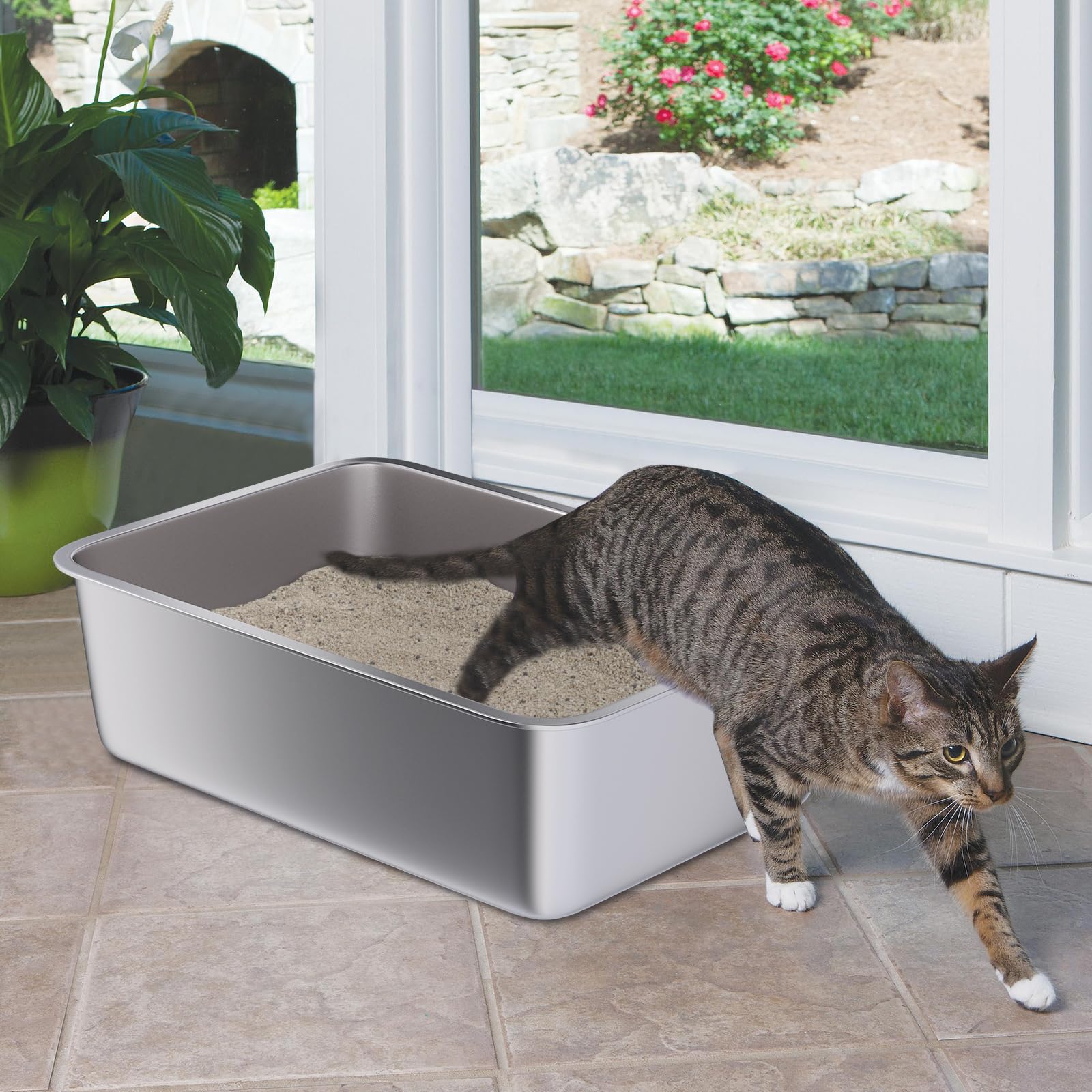 Holintan caja de arena esquinas redondeadas, segura para manos y mascotas.