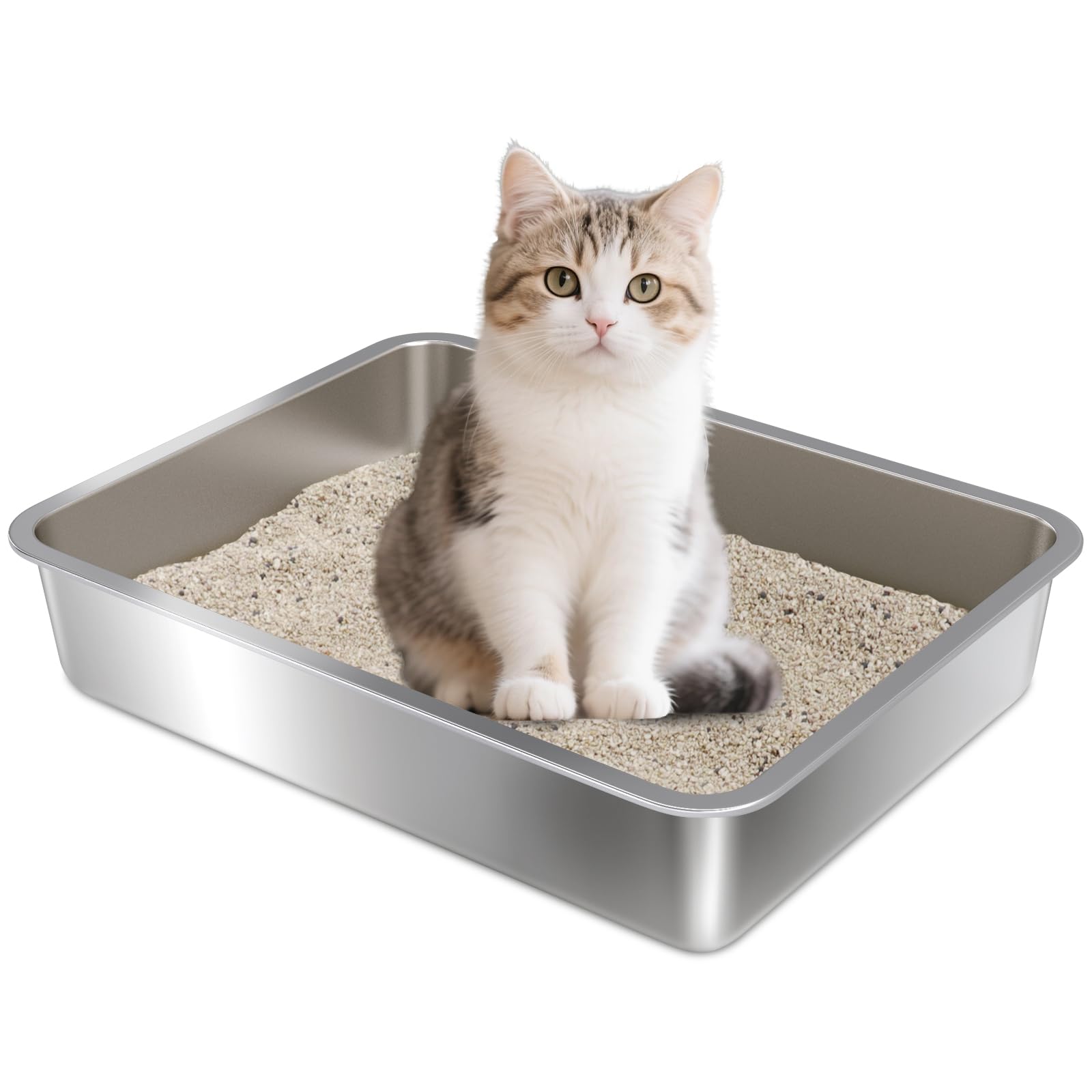 Holintan caja de litter acero inoxidable entrada fácil para gatitos