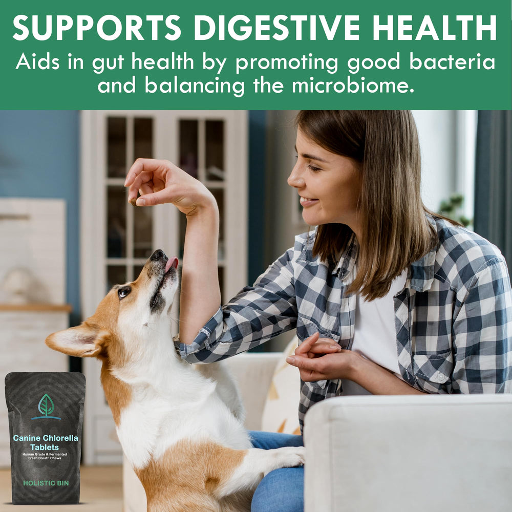 Holistic Bin aliento fresco para perros con chlorella fermentada