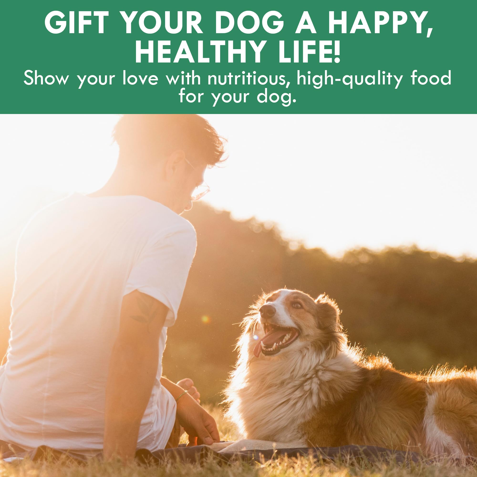 Holistic Bin Canina Super Verdes Ingredientes naturales sin aditivos