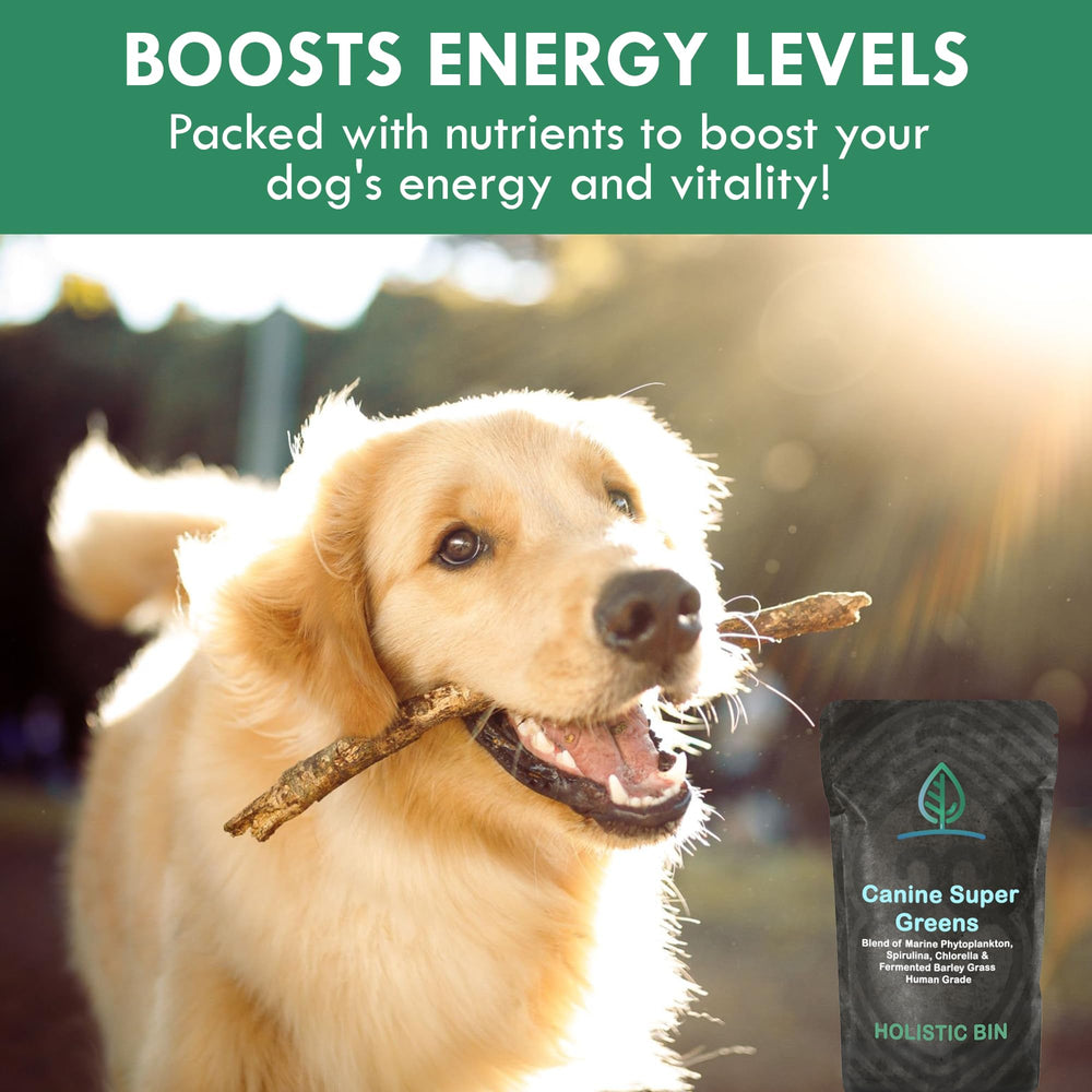 Holistic Bin Canina Super Verdes Pelaje brillante y piel saludable