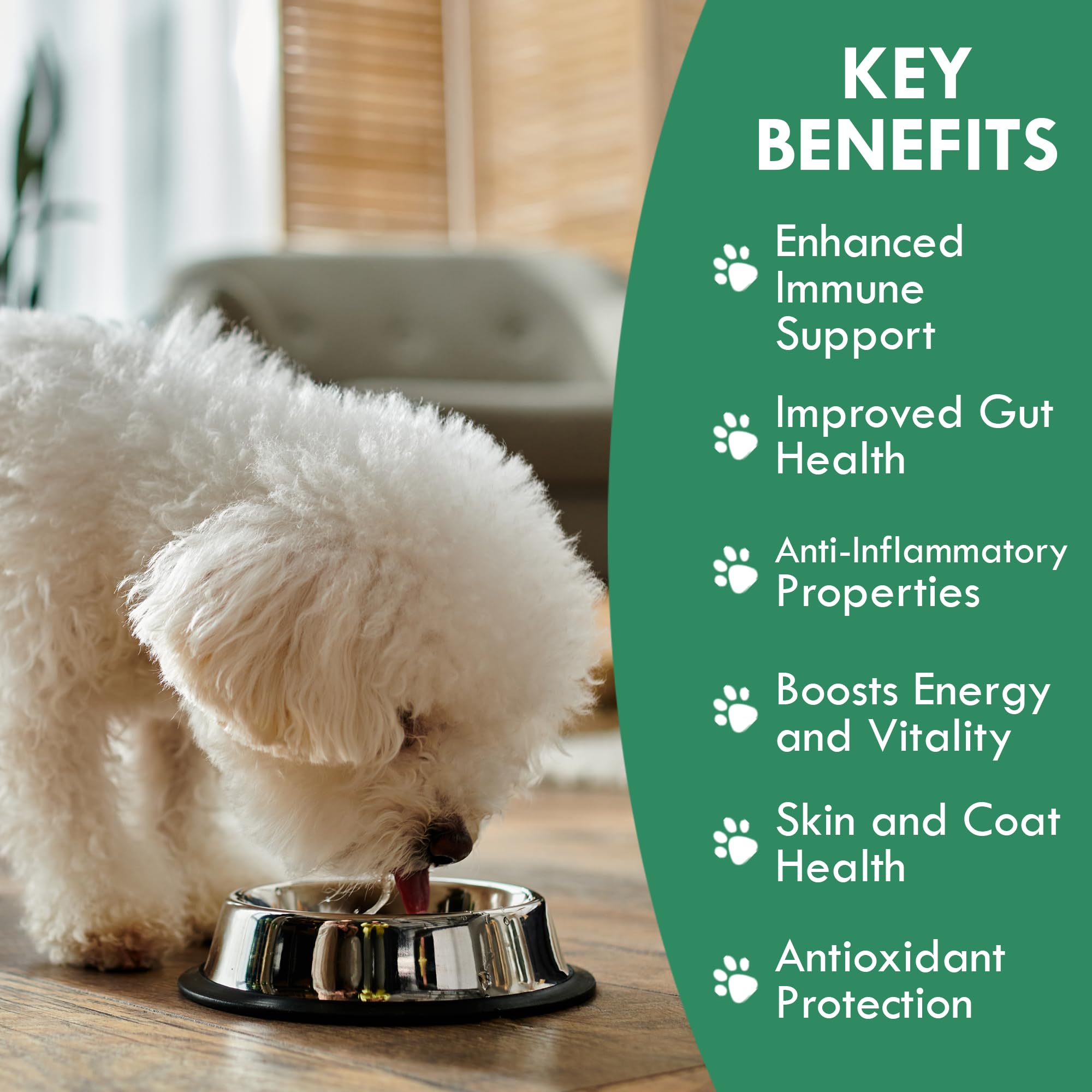Holistic Bin Remolacha Polvo Nutritivo para Perro: aporta sabor suave y color natural.