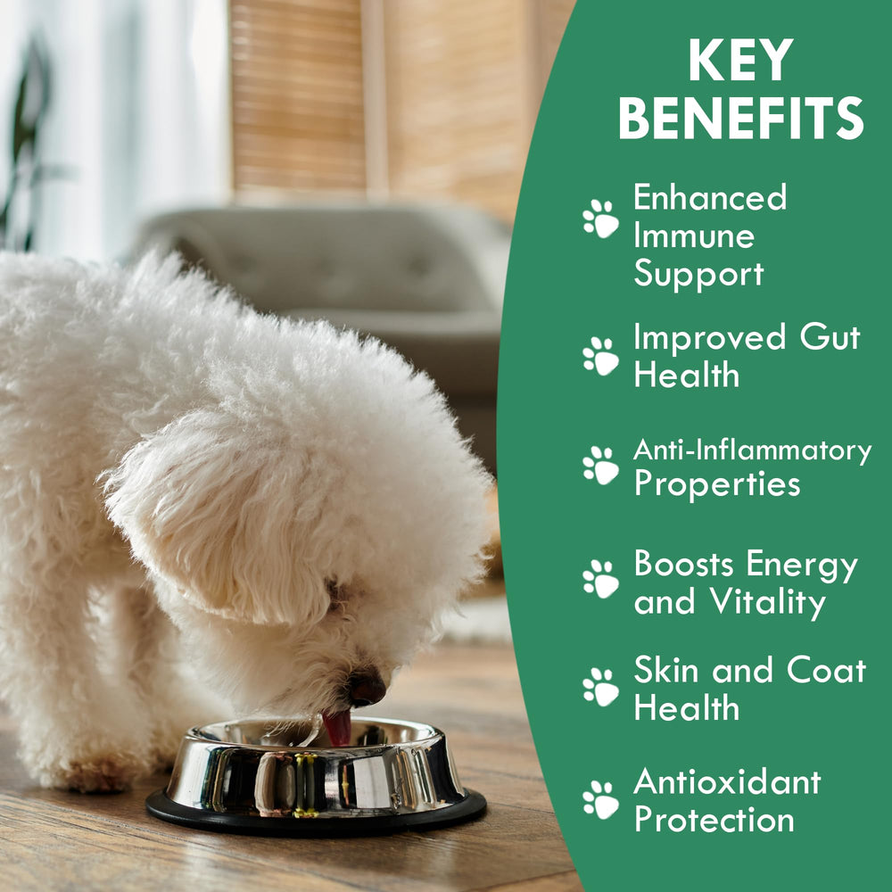 Holistic Bin Remolacha Polvo Nutritivo para Perro: aporta sabor suave y color natural.