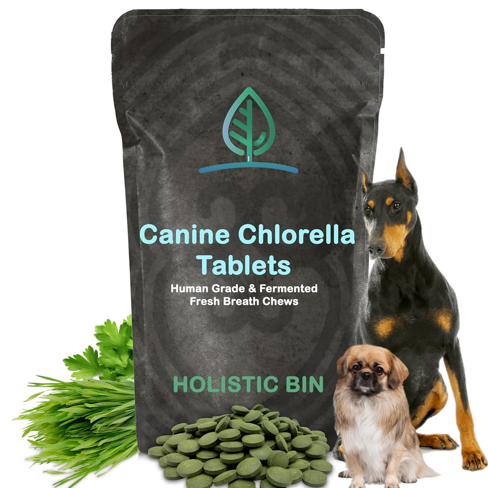 Holistic Bin tabletas de chlorella para perros: aliento más fresco y salud bucal