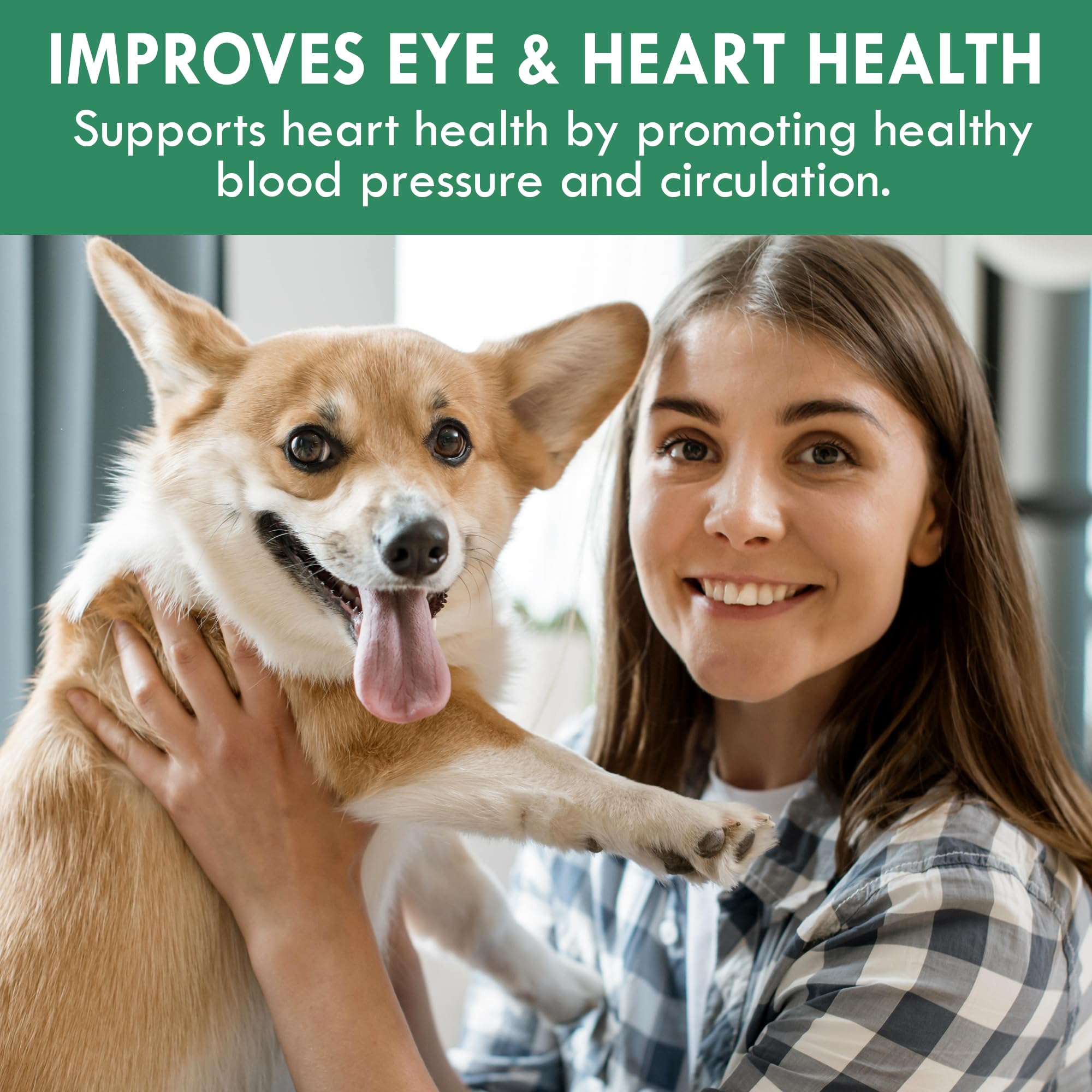 Holistic Bin vitaminas y minerales para perros, apoyo nutricional