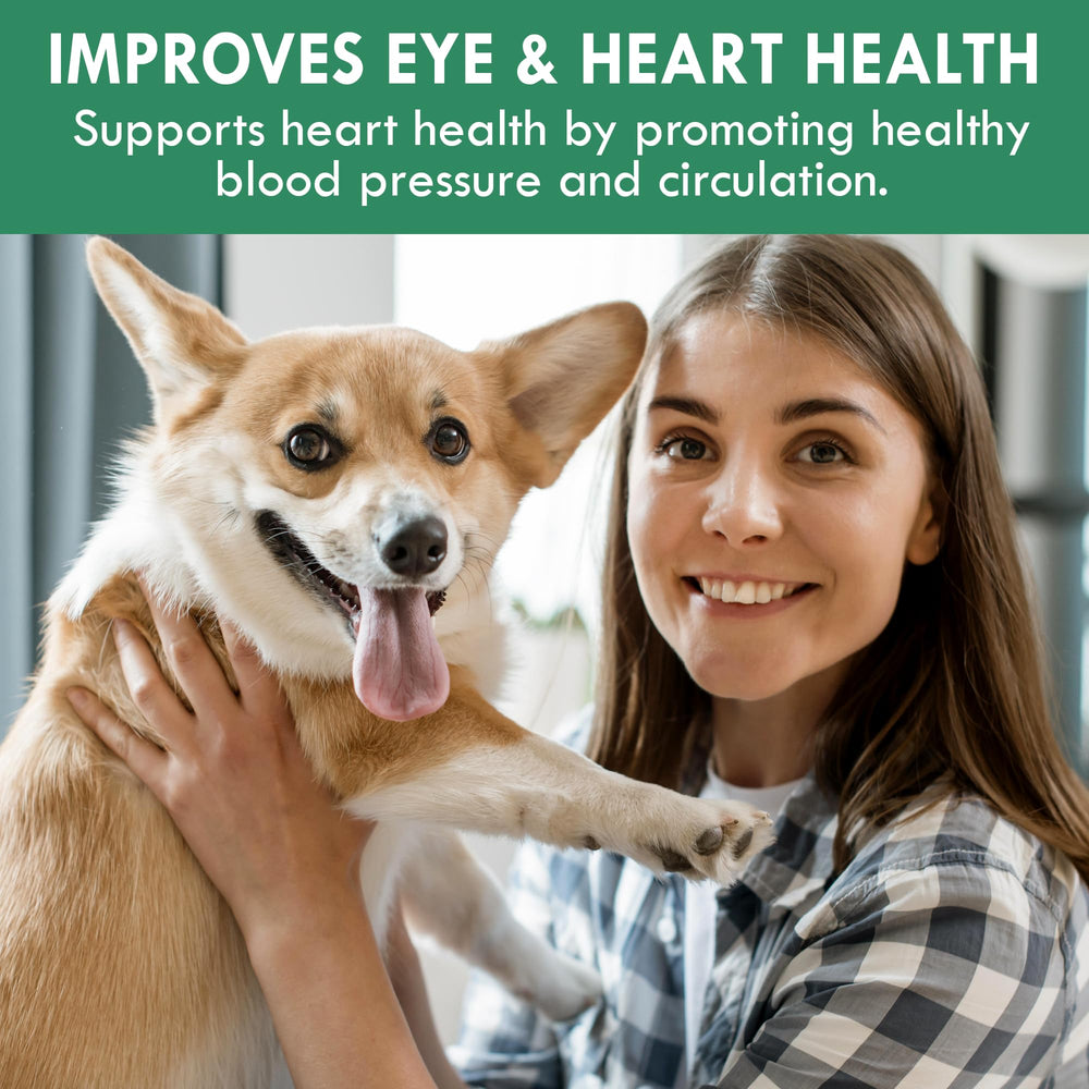 Holistic Bin vitaminas y minerales para perros, apoyo nutricional