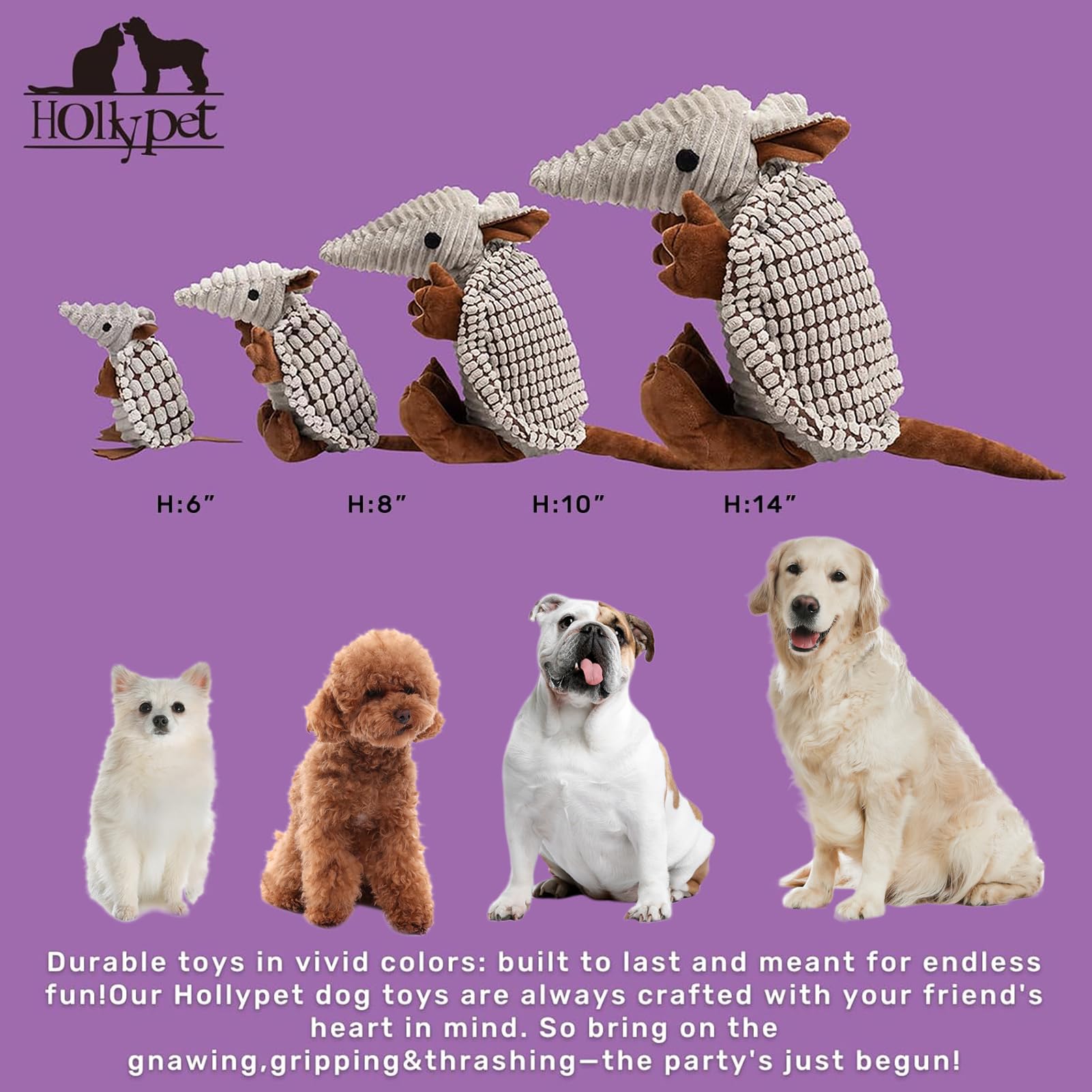 Hollypet Armadillo: diseño atractivo para elegir el personaje que coincide con la personalidad de tu mascota.