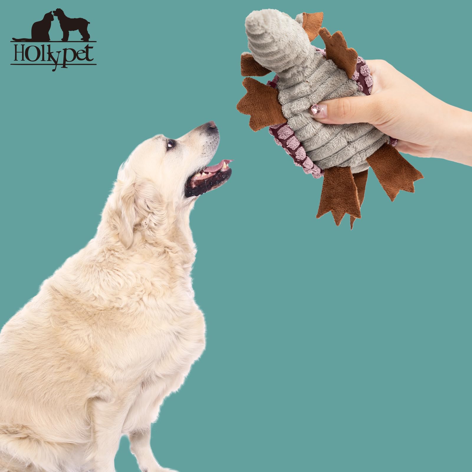Hollypet Armadillo-juego-compañero: fortalece el vínculo con tu perro durante la diversión.