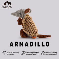 Armadillo Hollypet anima a lanzar y recoger para ejercicio.
