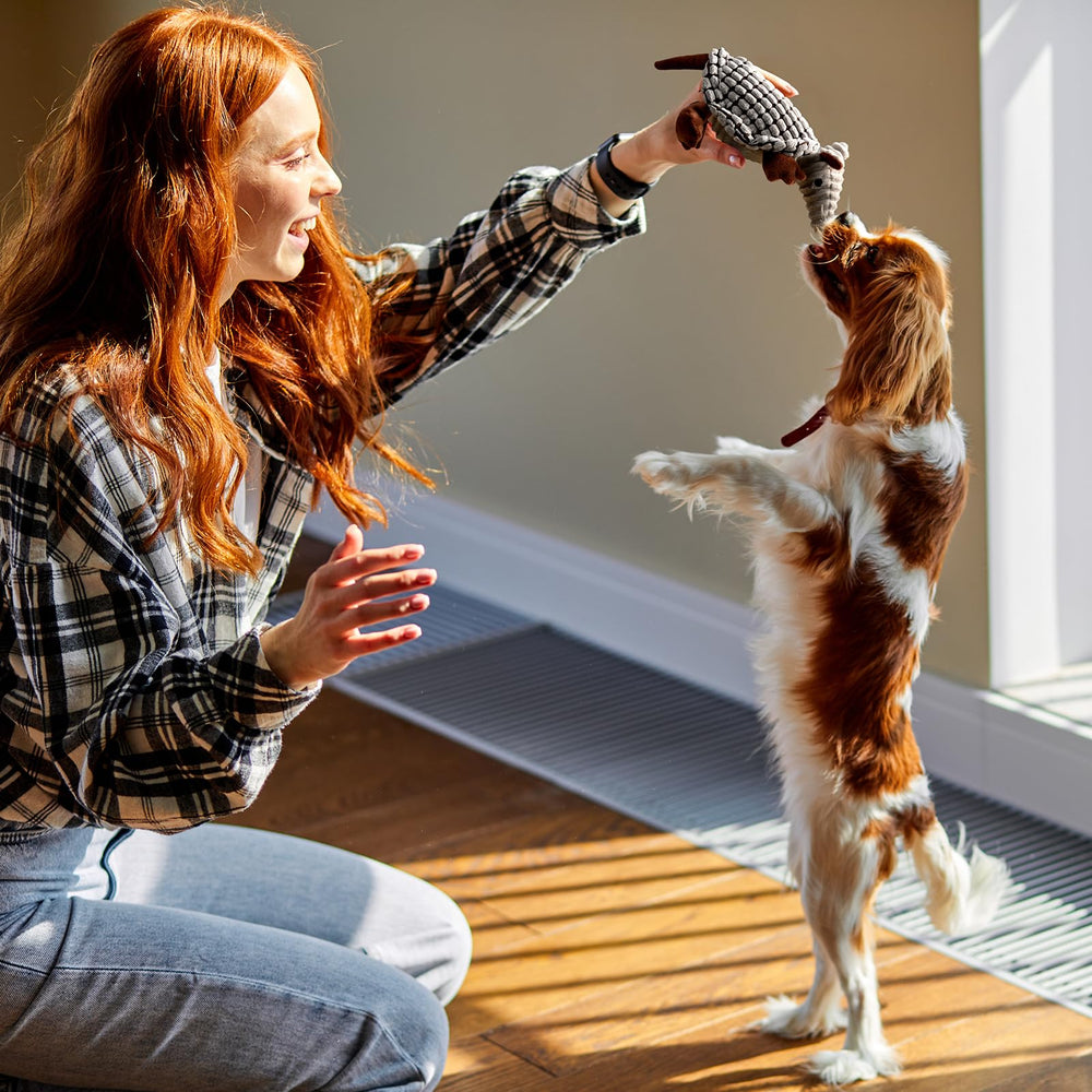Hollypet Armadillo: supervisa a tu perro durante el juego para evitar ingestión accidental.